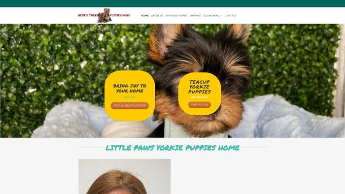 Littlepawsyorkiehome.com - Yorkshire Terrier Puppy Scam Review