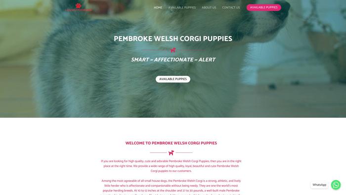 Lovelycorgis.com - Corgi Puppy Scam Review