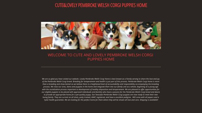 Lovelypembrokewelshcorgihome.com - Corgi Puppy Scam Review