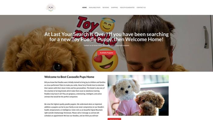 Lovelytoypoodlespuppies.com - Poodle Puppy Scam Review