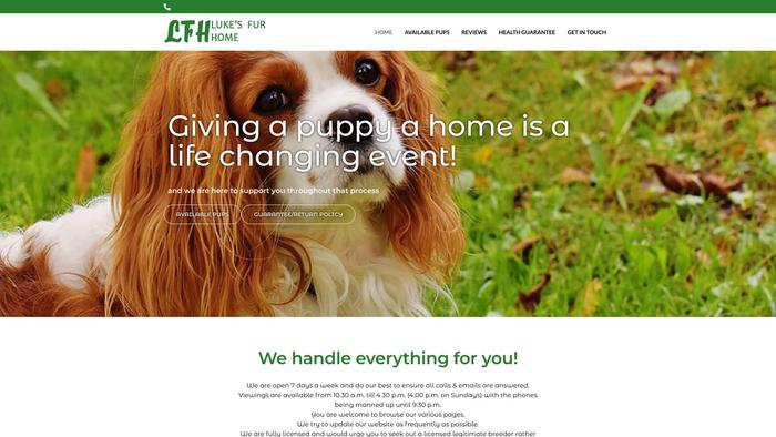 Lukefurhome.com - Cavalier King Charles Spaniel Puppy Scam Review