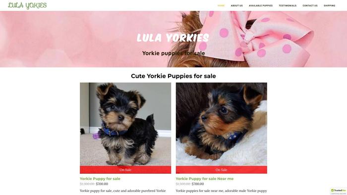 Lulayorkies.com - Yorkshire Terrier Puppy Scam Review