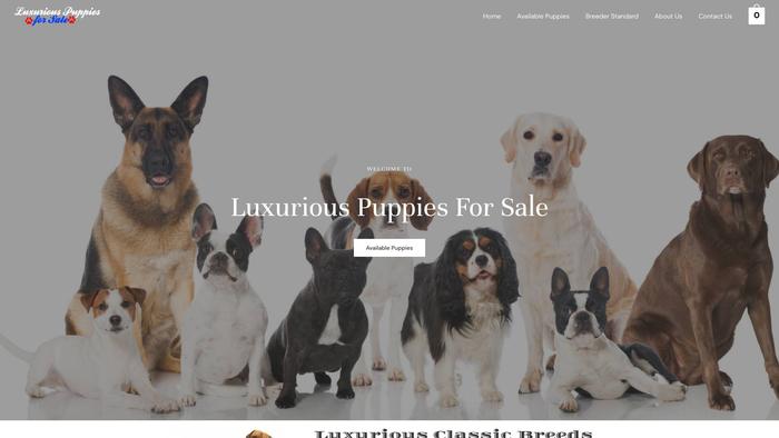 Luxuriouspuppiesforsale.com - Yorkshire Terrier Puppy Scam Review