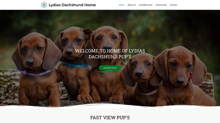 Lyds-dachshunds.com - Dachshund Puppy Scam Review