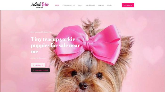 Macdonellyorkies.com - Yorkshire Terrier Puppy Scam Review