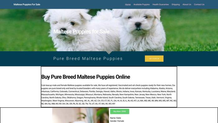 Maltesepuppyusa.com - Maltese Puppy Scam Review