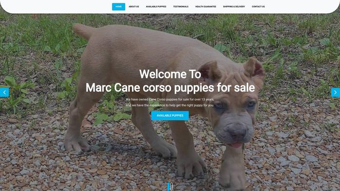 Marccanecorsopuppiesforsale.com - Cane Corso Puppy Scam Review