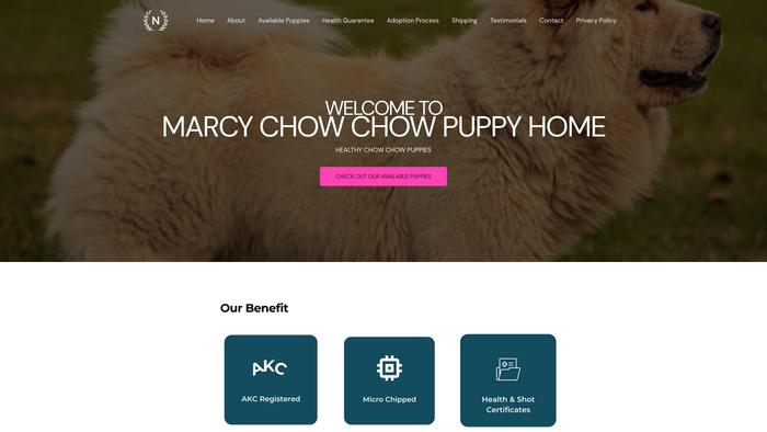 Marcychowchowpuppies.us - Chowchow Puppy Scam Review