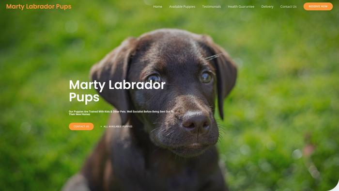 Martylabradorpups.com - Labrador Puppy Scam Review