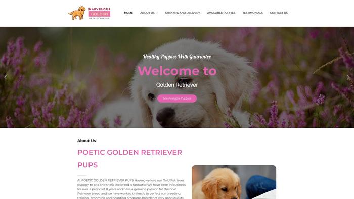 Marvelousgoldenretrieverpups-au.com - Golden Retriever Puppy Scam Review