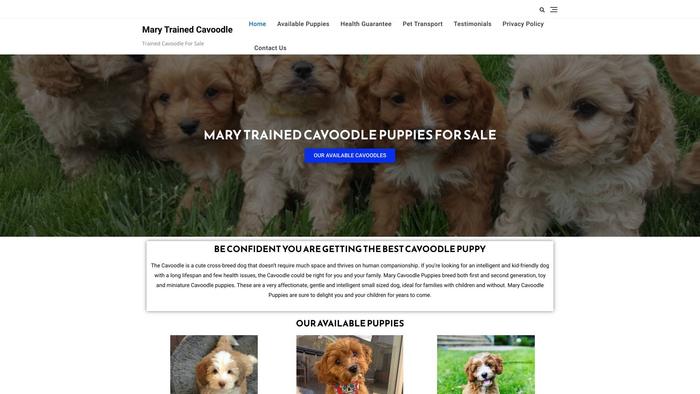 Marytrainedcavoodles.com - Cavapoo Puppy Scam Review