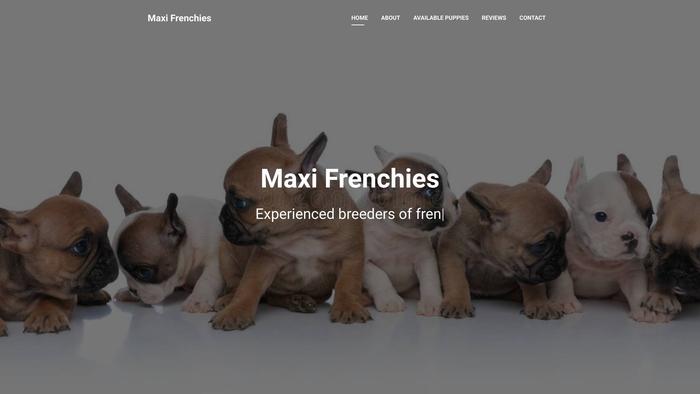 Maxifrenchies.com - French Bulldog Puppy Scam Review