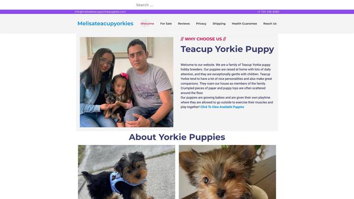 Melisateacupyorkiepuppies.com - Yorkshire Terrier Puppy Scam Review