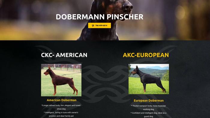 Miamidobermanpuppies.com - Doberman Pinscher Puppy Scam Review