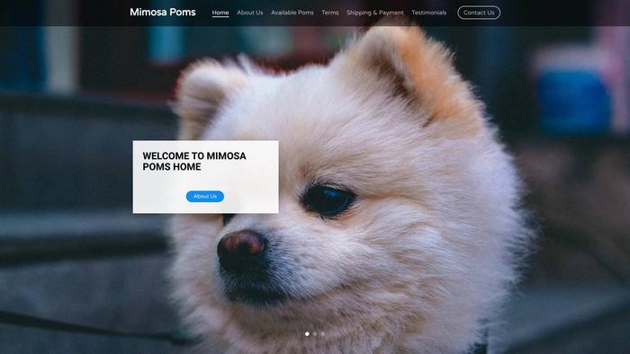 Mimosapoms.com - Pomeranian Puppy Scam Review