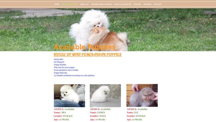 Minipomeranianspuppies.com - Pomeranian Puppy Scam Review