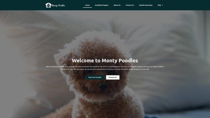 Montypoodles.com - Poodle Puppy Scam Review