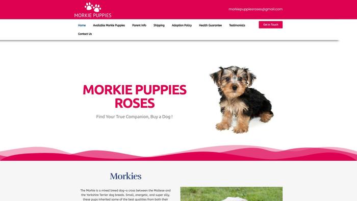 Morkiepuppiesroses.com - Yorkshire Terrier Puppy Scam Review