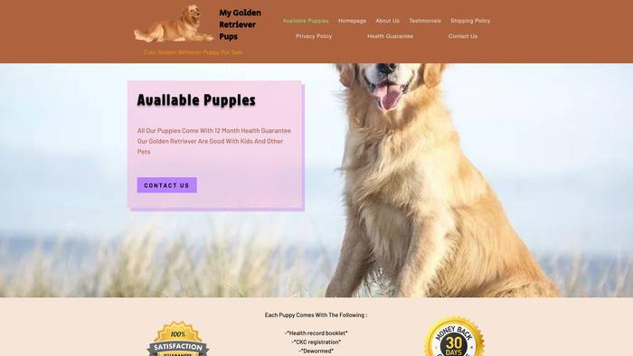 Mygoldenretrieverpups.com - Golden Retriever Puppy Scam Review