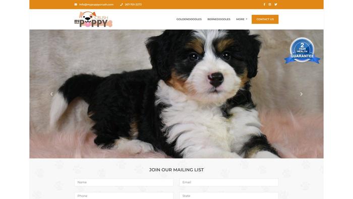 Mypuppycrush.com - Bernedoodle Puppy Scam Review