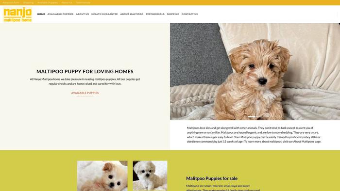 Nanjomaltipoohome.com - Maltipoo Puppy Scam Review