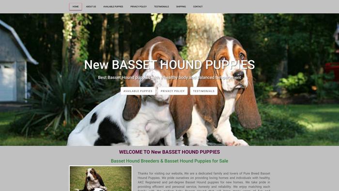 Newbassethoundpups.com - Bassethound Puppy Scam Review