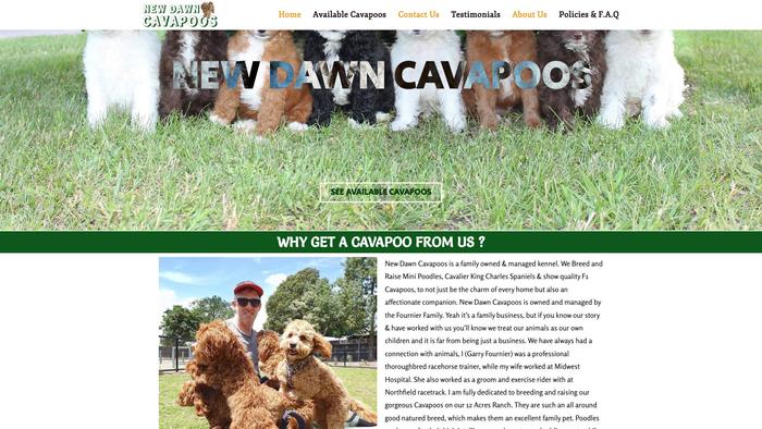 Newdawncavapoos.com - Cavapoo Puppy Scam Review