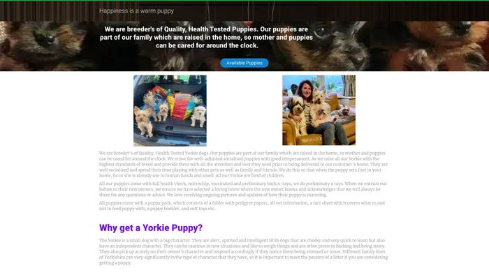 Newprimeyorkie.store - Yorkshire Terrier Puppy Scam Review