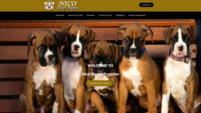 Nicoboxerpuppies.com - Boxer Puppy Scam Review