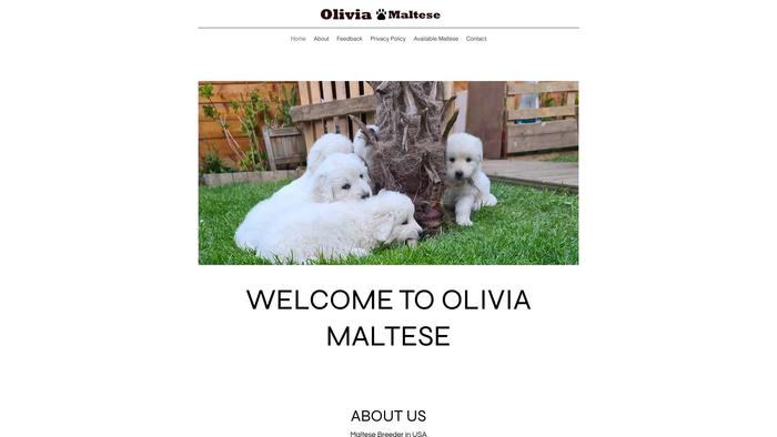 Oliviamlt.shop - Maltipoo Puppy Scam Review