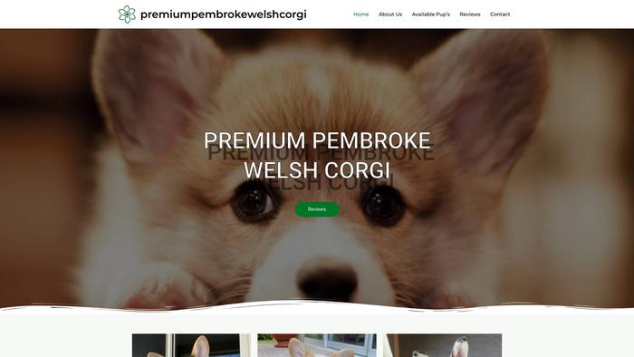 Premiumpembrokewelshcorgi.com - Corgi Puppy Scam Review