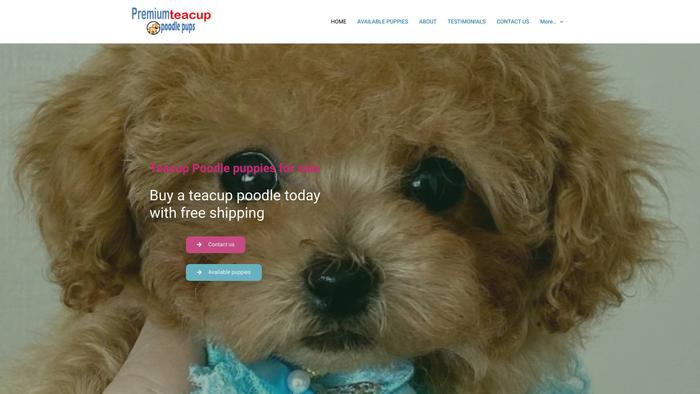 Premiumteacuppoodlepups.com - Poodle Puppy Scam Review