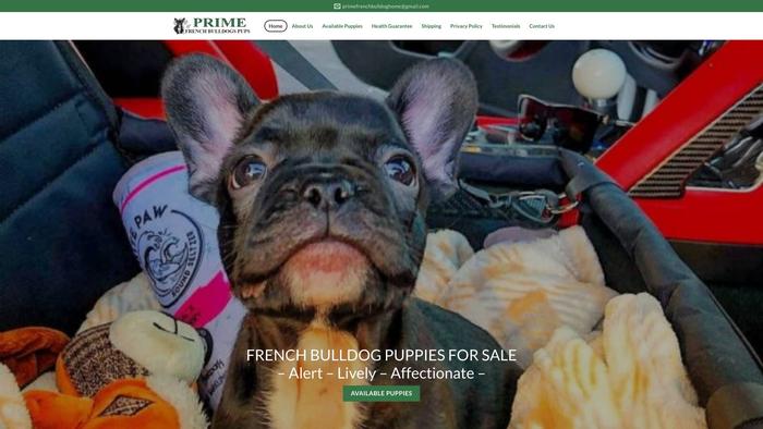 Primefrenchbulldogpups.com - French Bulldog Puppy Scam Review