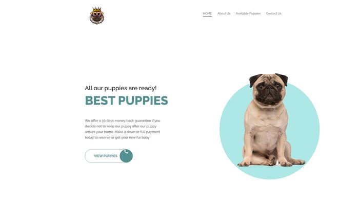 Princepughome.com - Pug Puppy Scam Review