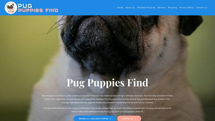 Pugpuppiesfind.com - Pug Puppy Scam Review