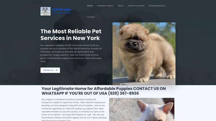 Puppiesmall247.com - Yorkshire Terrier Puppy Scam Review