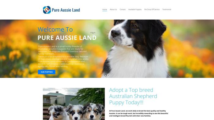 Pureausieland.com - Australian Shepherd Puppy Scam Review