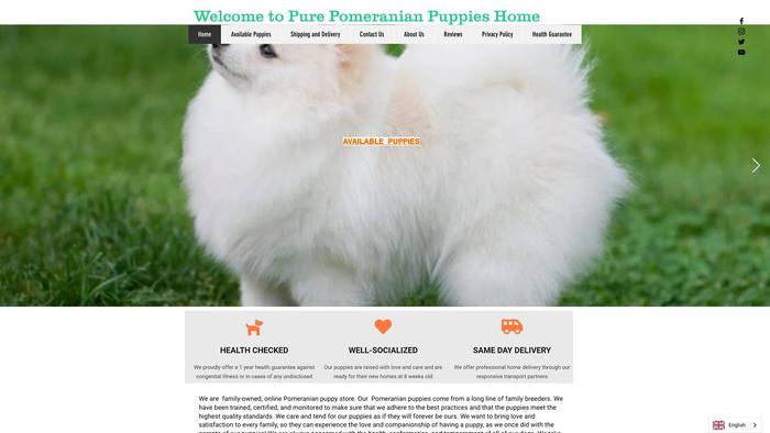 Purepompuppieshome.com - Pomeranian Puppy Scam Review