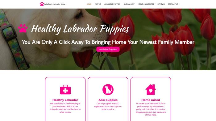 Reliabilitylabradorhome.com - Labrador Puppy Scam Review