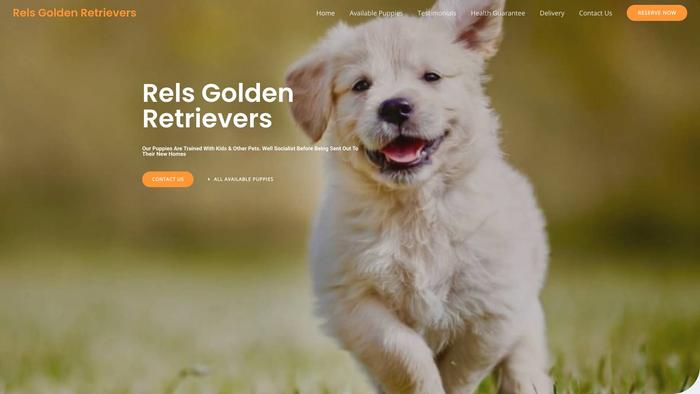 Relsgoldenretrievers.com - Golden Retriever Puppy Scam Review