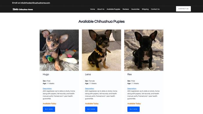 Rhodachihuahuahome.com - Chihuahua Puppy Scam Review