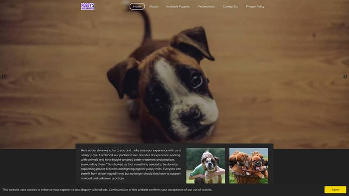 Robbysboxerpuppies.com - Boxer Puppy Scam Review