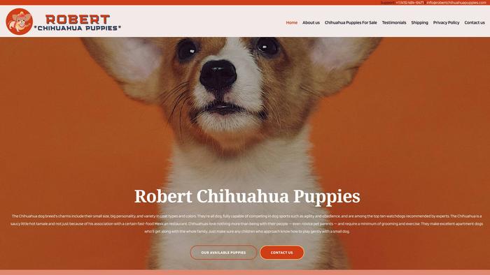 Robertchihuahuapuppies.com - Chihuahua Puppy Scam Review