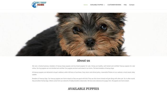 Romisteacuphome.com - Yorkshire Terrier Puppy Scam Review