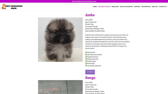 Rosypomeranianhouse.com - Pomeranian Puppy Scam Review