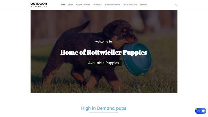 Rottweilerpuppiesnear.com - Rottweiler Puppy Scam Review