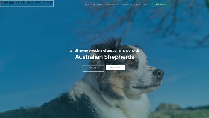 Ryanaustralianshepherds.com - Germanshepherd Puppy Scam Review