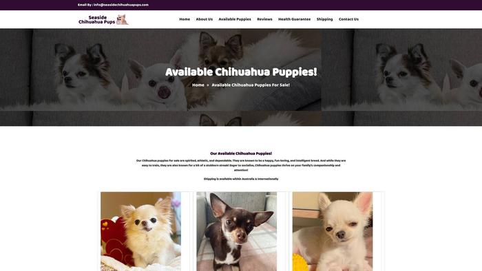 Seasidechihuahuapups.com - Chihuahua Puppy Scam Review