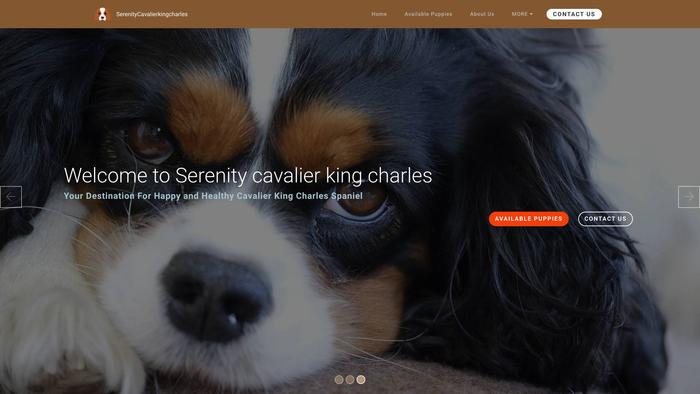 Serenitykingcharlespuppieshome.com - Cavalier King Charles Spaniel Puppy Scam Review