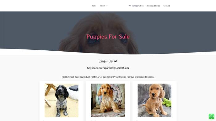 Seyosocockerspaniels.com - Cockerspaniel Puppy Scam Review